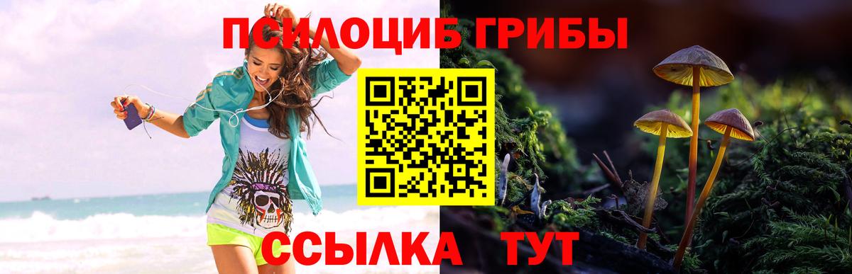 Буйнакск  Псилоцибиновые грибы Magic Shrooms  Вход с VPN 