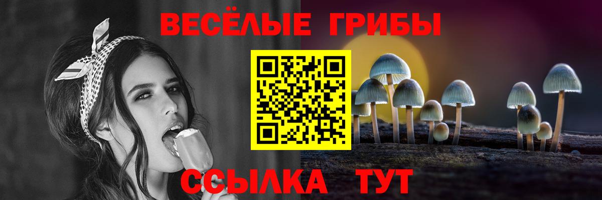 Псилоцибиновые грибы мицелий Буйнакск